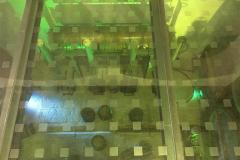 img_3526__medium__1