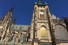 img_3599__medium__1